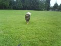 filou 21 (10)
